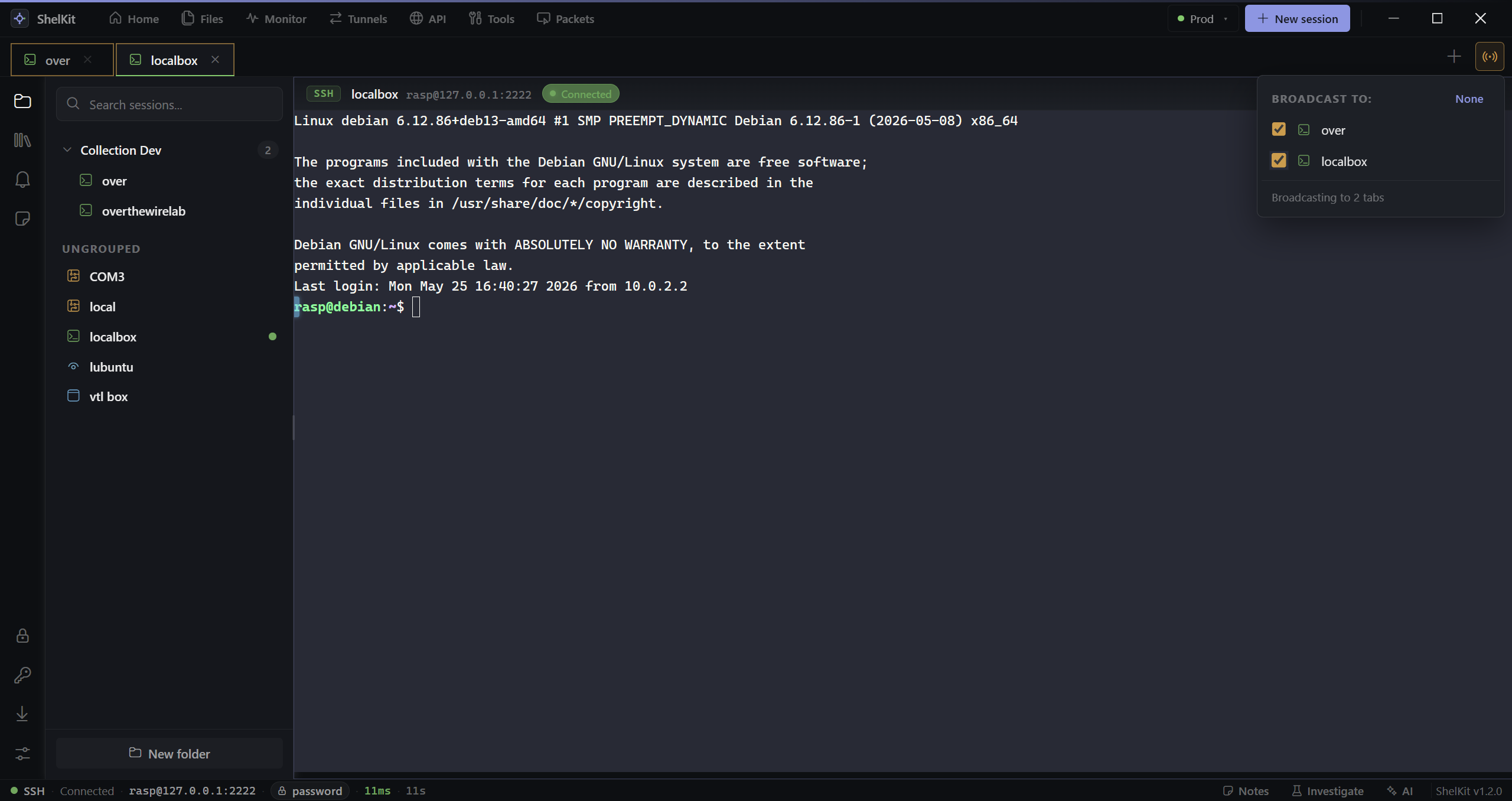 Multi-Exec panel broadcasting one command to several tabs, with per-tab output and exit codes.